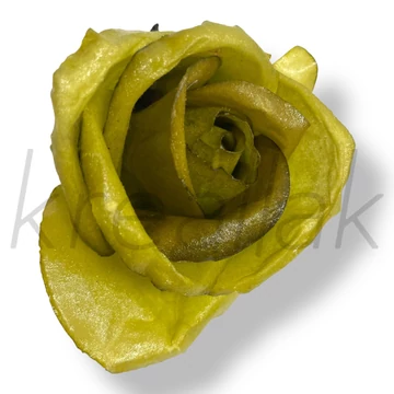 Zöld viasz rózsa fejek