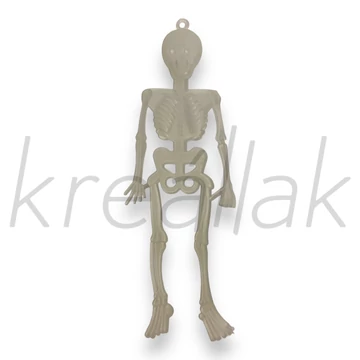 Átlátszó műanyag csontváz