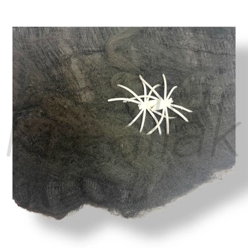 Fekete pókháló pókkal nagy