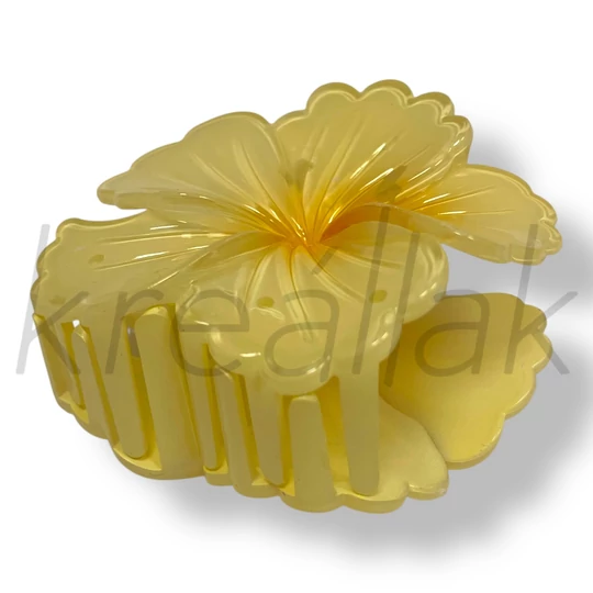 HAJBA0000080_1