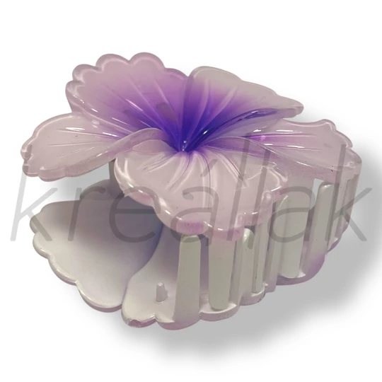 HAJBA0000094_1