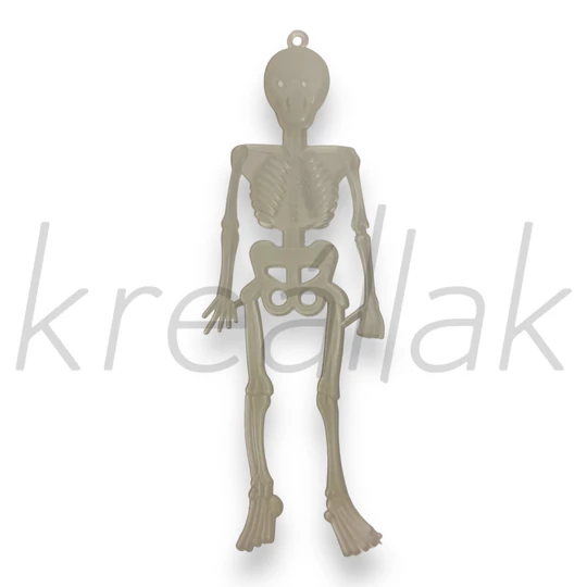 Átlátszó műanyag csontváz