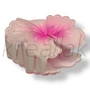 HAJBA0000092_1