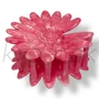 HAJBA0000206_1